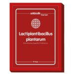 Lactiplantibacillus plantarum (30 Saşe)