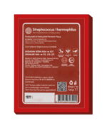 Streptococcus thermophilus ( 30 Saşe ) - Görsel 2